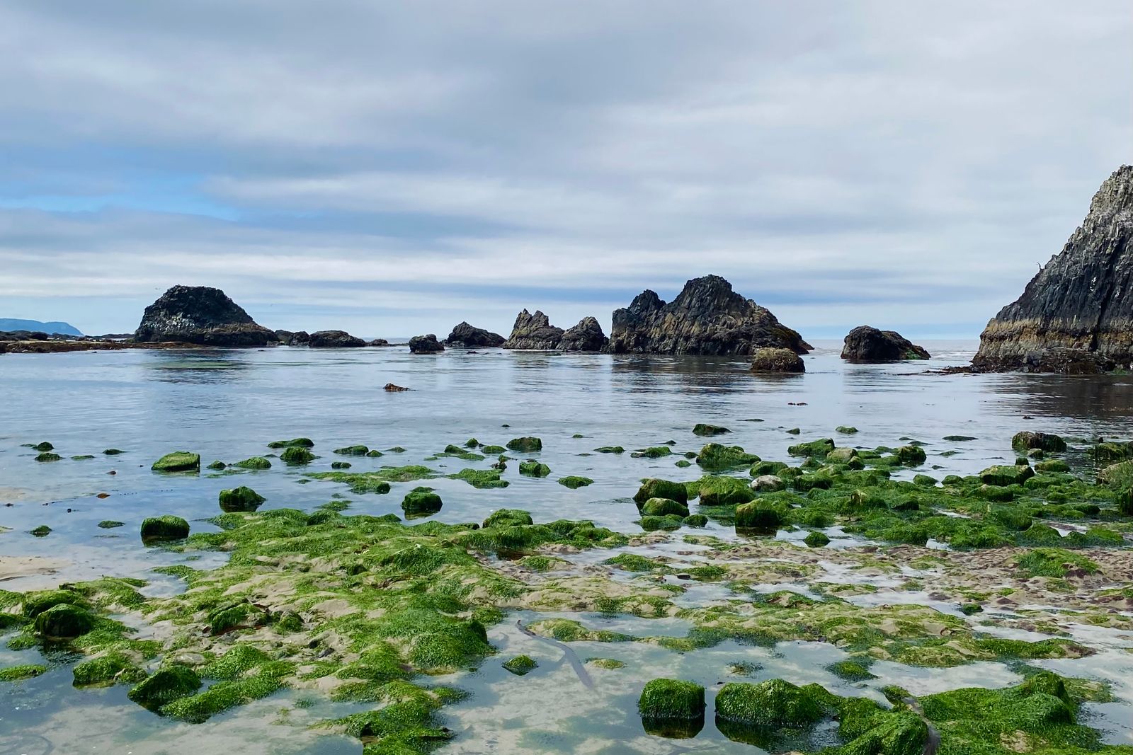 Moss-covered rock formations in the surf at Seal Rock, one of the communities north of Yachats.
